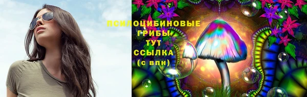 a pvp Краснослободск