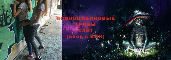 индика Бронницы